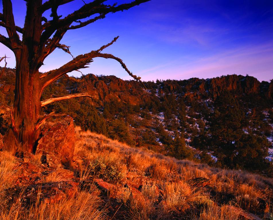 Brasada Ranch